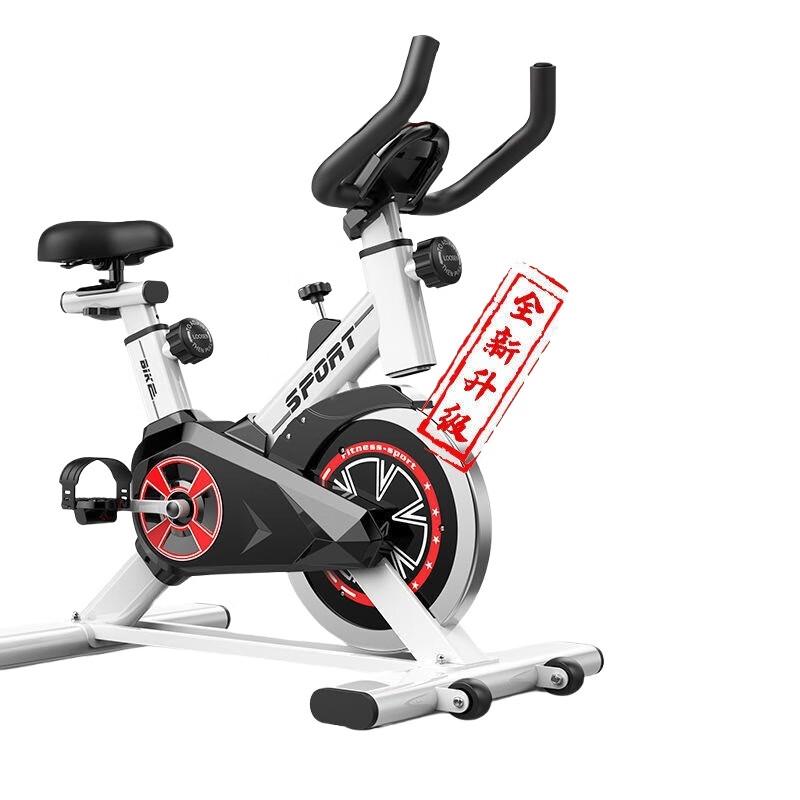 WEZHO Silent Indoor Spin Bike CN plug (adapter included)