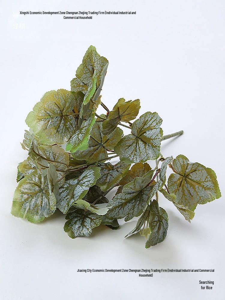 Begonia Leaves Wall Decoration & Green Partition Accessories