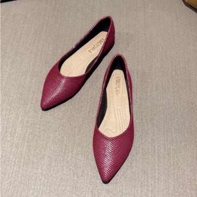 Неглубокие однобортные туфли для женщин на весну и осень, простые туфли на плоской подошве, повседневные туфли для женщин с острым носком для поездок на работу, женские туфли на плоской подошве