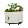 Aroma Diffuser for Essential Oils, Humidifier with Light, Artificial Plant, Music,