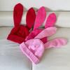 Knitted Rabbit Ear Hats Solid Color Plush Skull Cap Lovely Women Beanie Hat  Girl