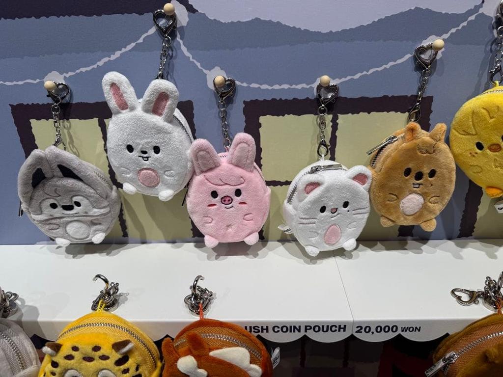 [USED] StrayKids Zootopia Coin Pouch Toekki