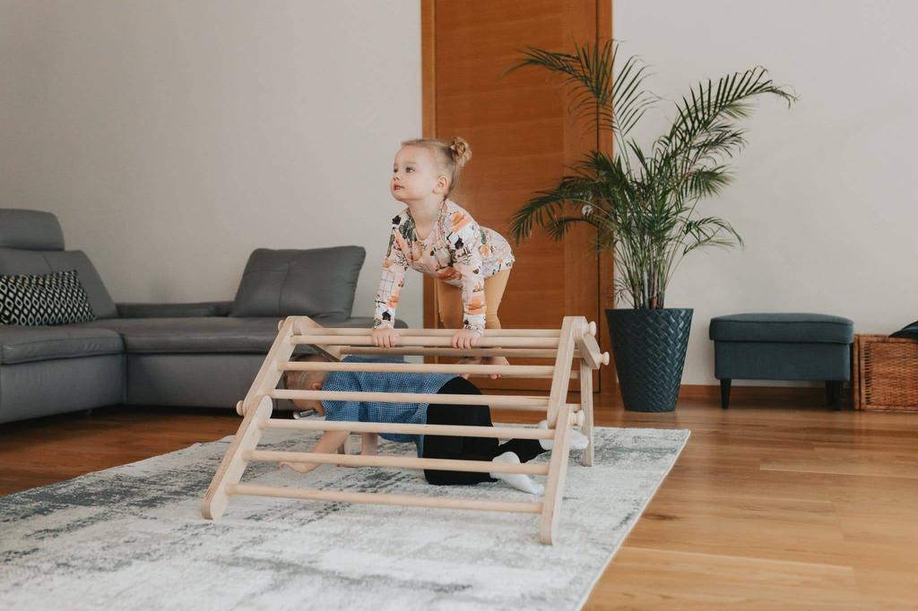 Домашняя игровая площадка Mopitri Plus