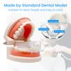 3 Stages Dental Orthodontic Braces Teeth Retainer Bruxism Mouth Guard Teeth Straightener Stop Sleeping Anti-Snoring Device 3