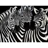 Full 5D Diy Diamond Painting Three Zebras Embroidery Cross Stitch Home Decor Handmade Gift