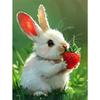 5d DIY Diamond Painting Cross Stitch Cute Animal Bunny Eating Strawberries Diamond Embroidery Mosaic Full Round Drill Home Decor
