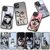 Cover Lovely Husky Dog Funny for Motorola Moto G04 G13 G14 G22 G23 G20 G32 G34 G35 G64 G82 G84 G53 G60 G72 E14 E15 E13 Case