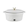 Electric Pot Multifunctional Dormitory Student Cooking Pot Electric Cooker Standard