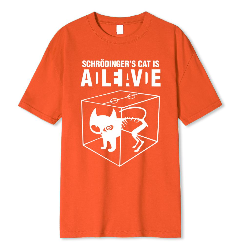 Мужская футболка высшего качества 100% хлопок с принтом кота Шредингера, мужская футболка с коротким рукавом, повседневная женская футболка с принтом «Теория большого взрыва»