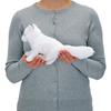 Carolata Arctic Fox Plush Toy Realistic Fox Animal Toy Doll Gift Present Birthday Christmas Present (Sitting Series/Soft Touch) (Twice Tested) /