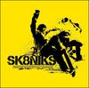 CD SK8NIKS - 6 песен Компакт-диск SK8NIKS001 Sk8niks 2004 Япония Рок Б/у