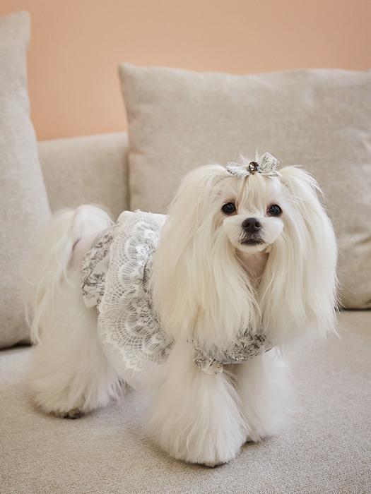 CAHIERS Tiered Lace Frill French Dress