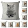Милый чехол для подушки с изображением мультяшного кота для автомобиля, дивана, дома, детской комнаты, декор, наволочка с изображением домашнего животного, кошечки, наволочка из полиэстера 45x45 см