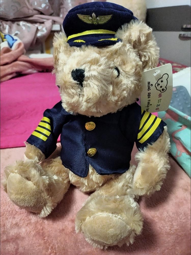 20-40cm Pilot Teddy Bear Plush Dolls Soft Stuffed High Quality Captain Bear Plushie Baby Children Sleep Comfort Kawaii Birthday