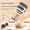 Edifier Портативная Bluetooth-колонка для караоке PP203S, штекер CN (адаптер в комплекте)