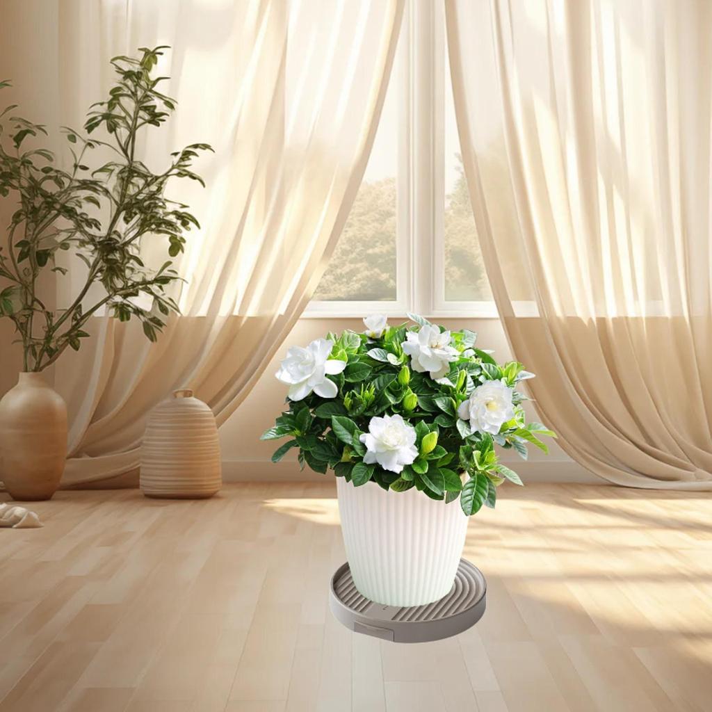 Plant Caddy with 4 Invisible Casters Plant Dolly for Yard Living Room Garden
