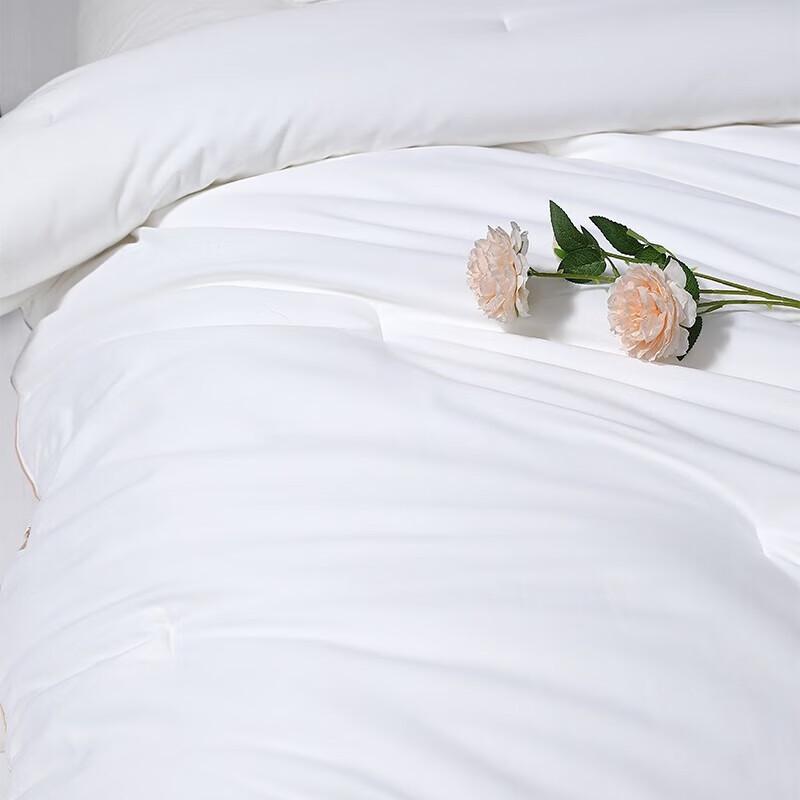 Mercury 100% Mulberry Silk Thickened Winter Quilt