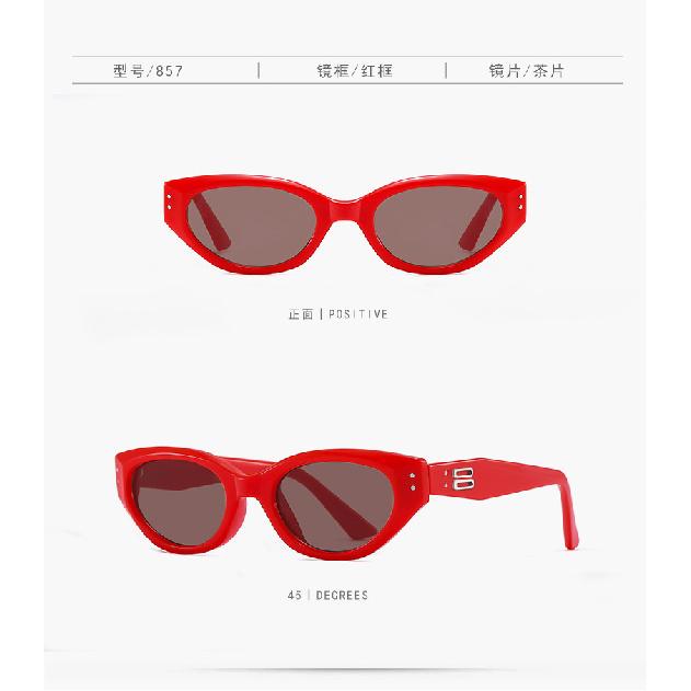 Narrow-frame glasses, trendy UV protection cat-eye polarized sunglasses for women