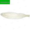 Shengjunzhe Multi-Purpose Professional Tools & Supplies