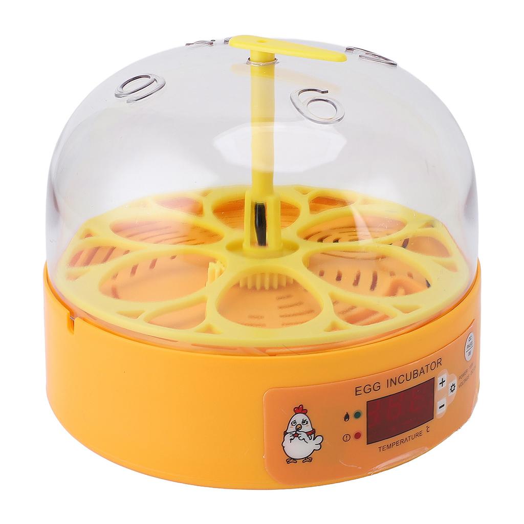 6 Egg Smart Chicken Incubators Automatic Temperature Control Small Display Hatcher Machine for
