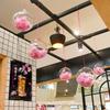 Transparent Acrylic Christmas Ornaments Hanging For Holiday Party Decorations