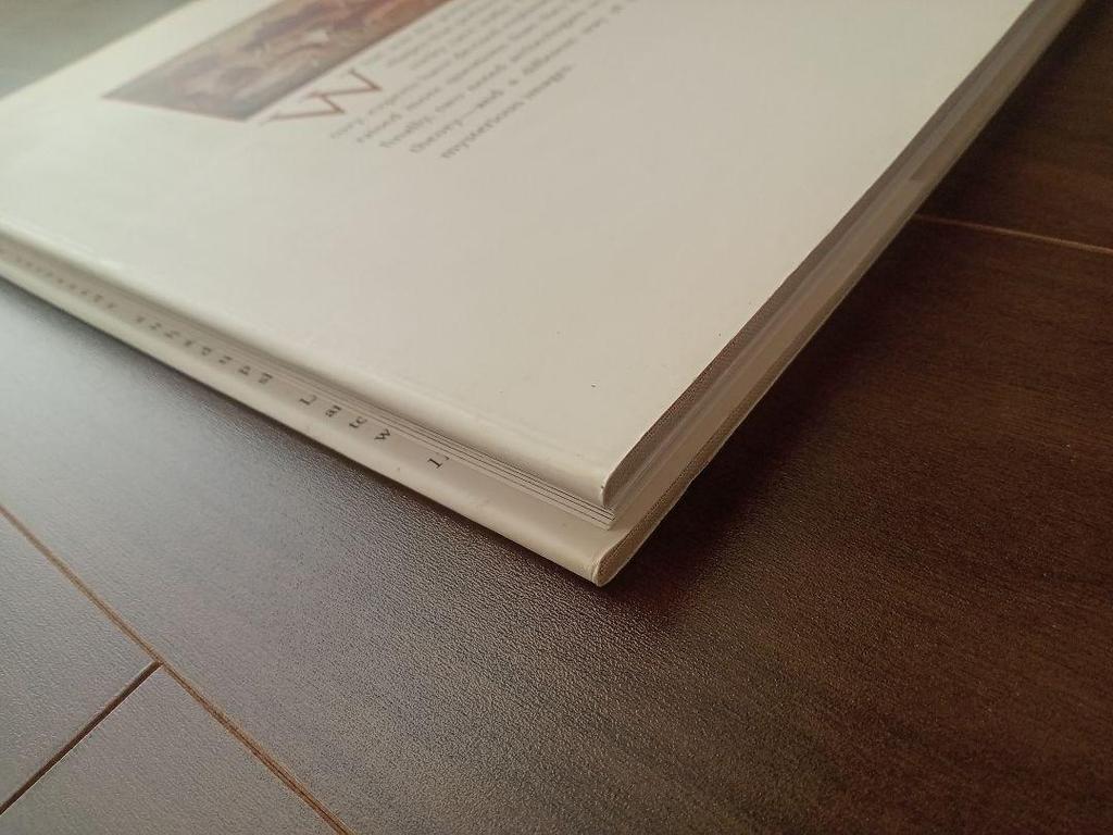 [Б/У] Шаманы Шаманы Доисторической эпохи Английская книга