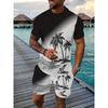 Hawaiian Style 3D Printed Men's T-shirt And Shorts Set Summer Everyday Men's Short Sleeves Outdoor Beach Men's Casual Shorts