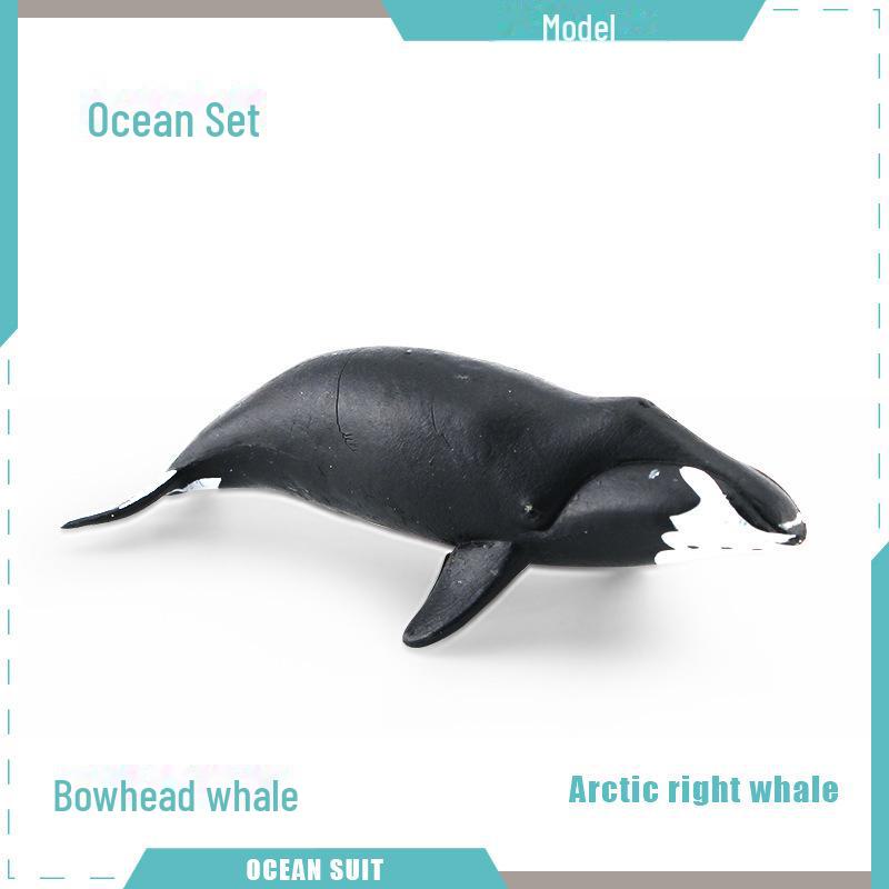 Набор моделей морских животных: Акула, черепаха, дельфин, кит, пингвин, краб и существа морского дна