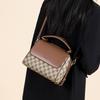 Red Dragonfly 2026 New Women's Bag Rest Versatile Printed Retro Fashion Handbag