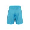 Nike Повседневные шорты мужские небесно-голубые DJ3897-434