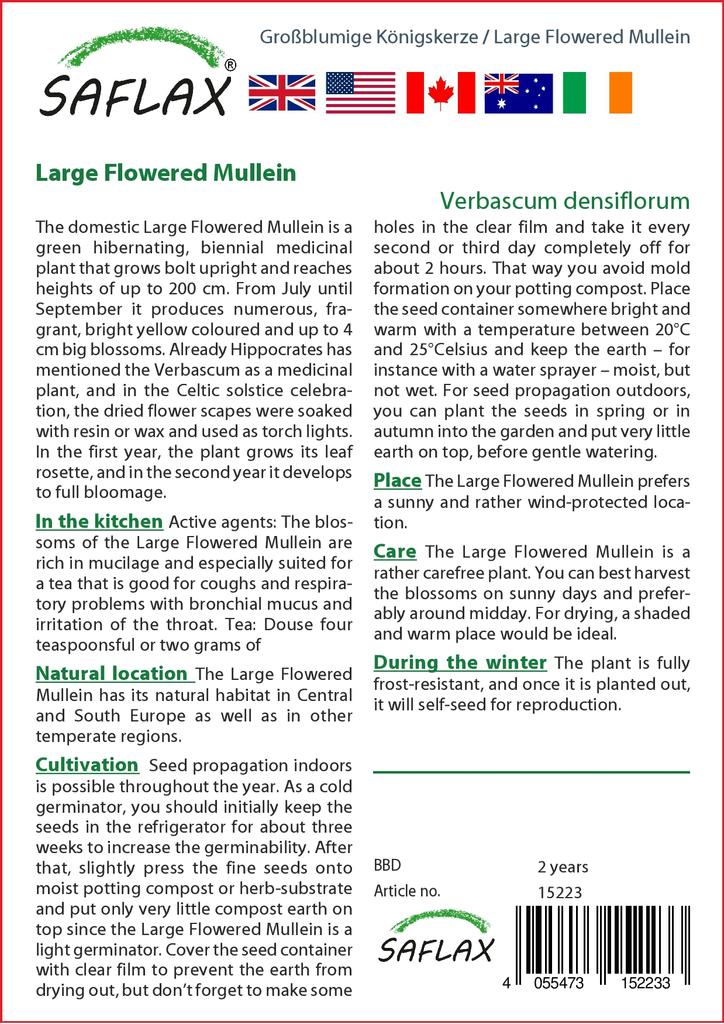SAFLAX Garden in the Bag - Коровяк крупноцветковый - 500 семян - С субстратом в подходящем мешке - Verbascum densiflorum