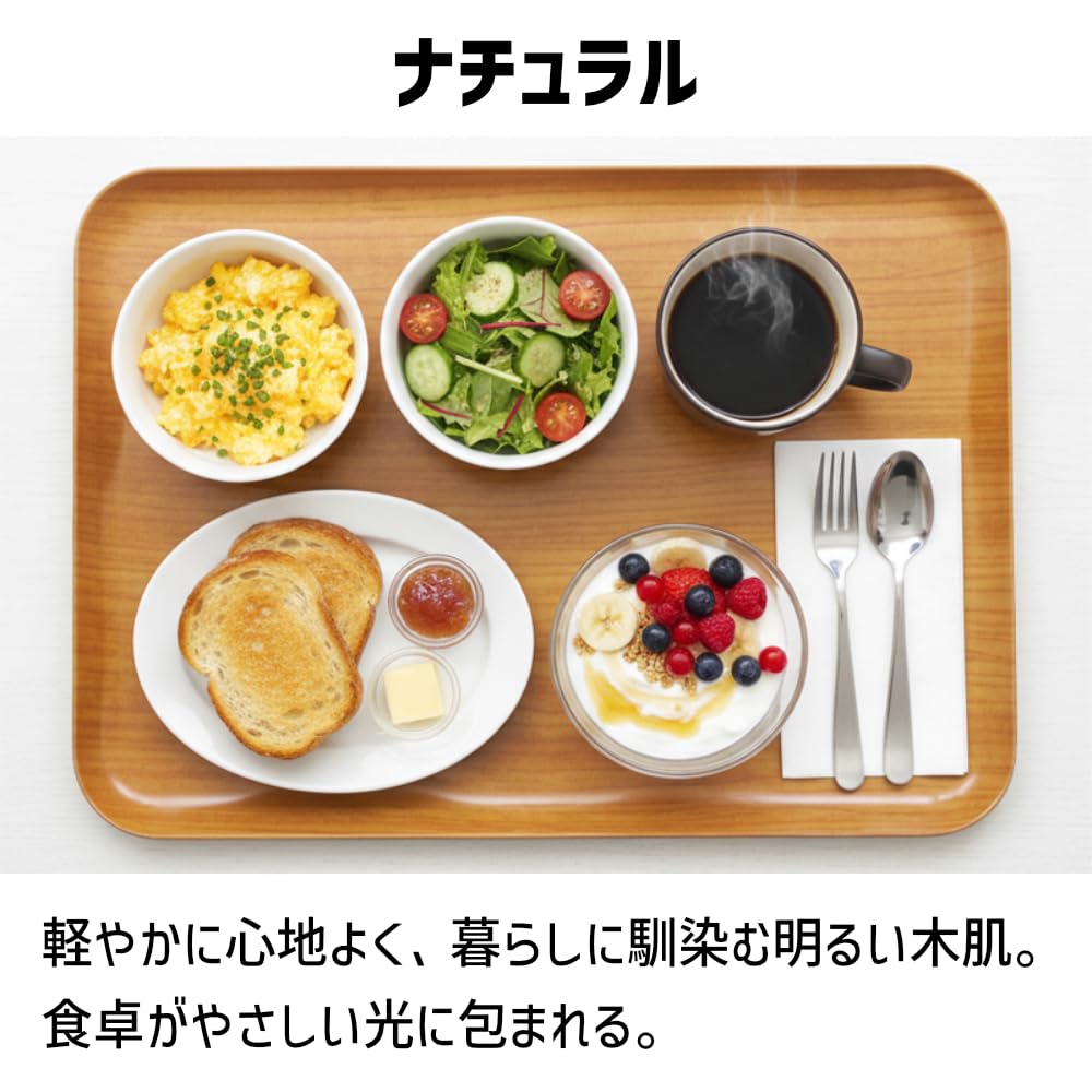 TATSU-CRAFT Magnetic Tray Large 39cm Natural Non-Slip Refrigerator Storage Kitchen Steel