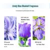 Lonkey Bluebell Antibacterial Laundry Detergent