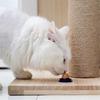 Натуральная Кошачья Игрушка Кошачья Мята Безопасная Конфета для Лакания Здоровое Питание Лакомства для Питомцев Энергетический Шарик Игрушка с Кошачьей Мятой Котенок Увеличить Питье Энергетический Шарик