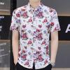 Printed Short-sleeved Shirt Men's Summer Trend Handsome Ice Silk Shirt Casual Handsome Summer Fashion Men's Inch Clothes