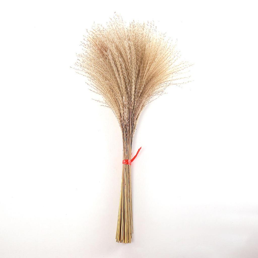 Natural Dried Grass, Flower Arrangements Room Decor Flower Bunch for Festival Living Room Table Decoration Centerpiece