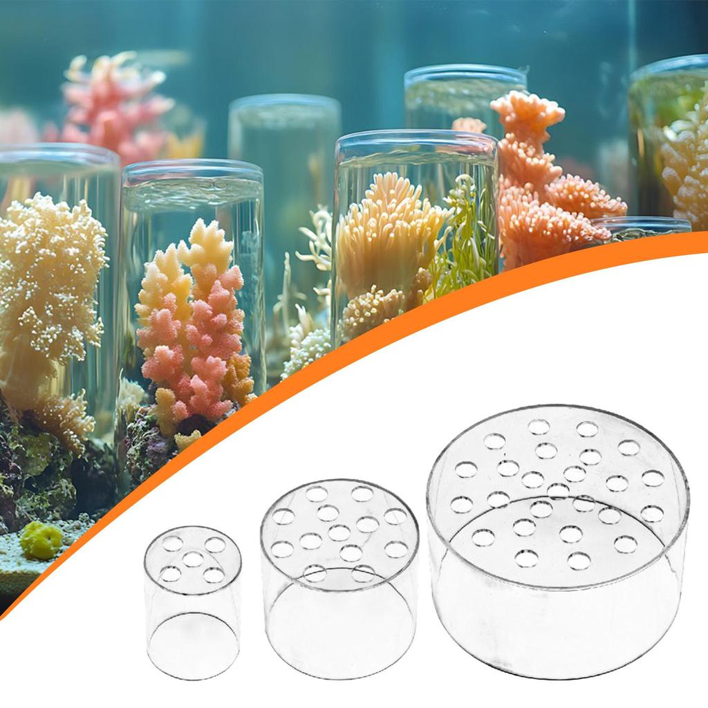 Acrylic Coral Feeder Cover Avoid Corals Food Floating Around Feeding Shield Coral Breeding Protection Dome Long Term Use Quality