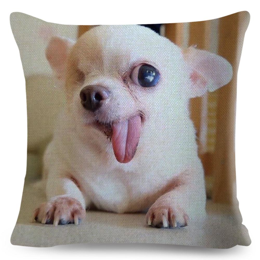 Милая маленькая собачка чихуахуа наволочка декор прекрасный питомец животное наволочка полиэстер наволочка для дивана дома машины 45х45см