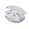 Reflective Pearl Clam Ornaments Colorful Seashell Figurine Crafts  Wedding Decor