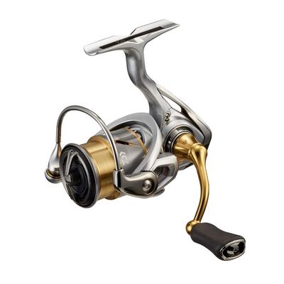 Daiwa 21 Freams FC LT1000S