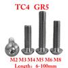 Винты из титанового сплава TC4 GR5 с шестигранной головкой под ключ M2 M3 M4 M5 M6 M8 X 6-100 мм Длина Винт Болт Велосипед Мотоцикл