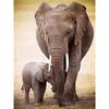 DIY Elephant 5D Diamond Painting Full Round Drill Animal Diamond Embroidery Cross Stitch Kits Wall Art Home Decor