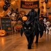 Creative Headless Horseman Cat Costume 3D Cat Saddle Costume Halloween Pet Costume  Cosplay Event