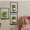 Black Picture Frame Wall Plant Holder Stylish Display Stands  Outdoor