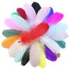 Natural Goose Feathers Plumes 10-15CM Swan Feather Plume for Home Decoration Craft DIY Wedding Jewelry Accessories 50PCS 100PCS