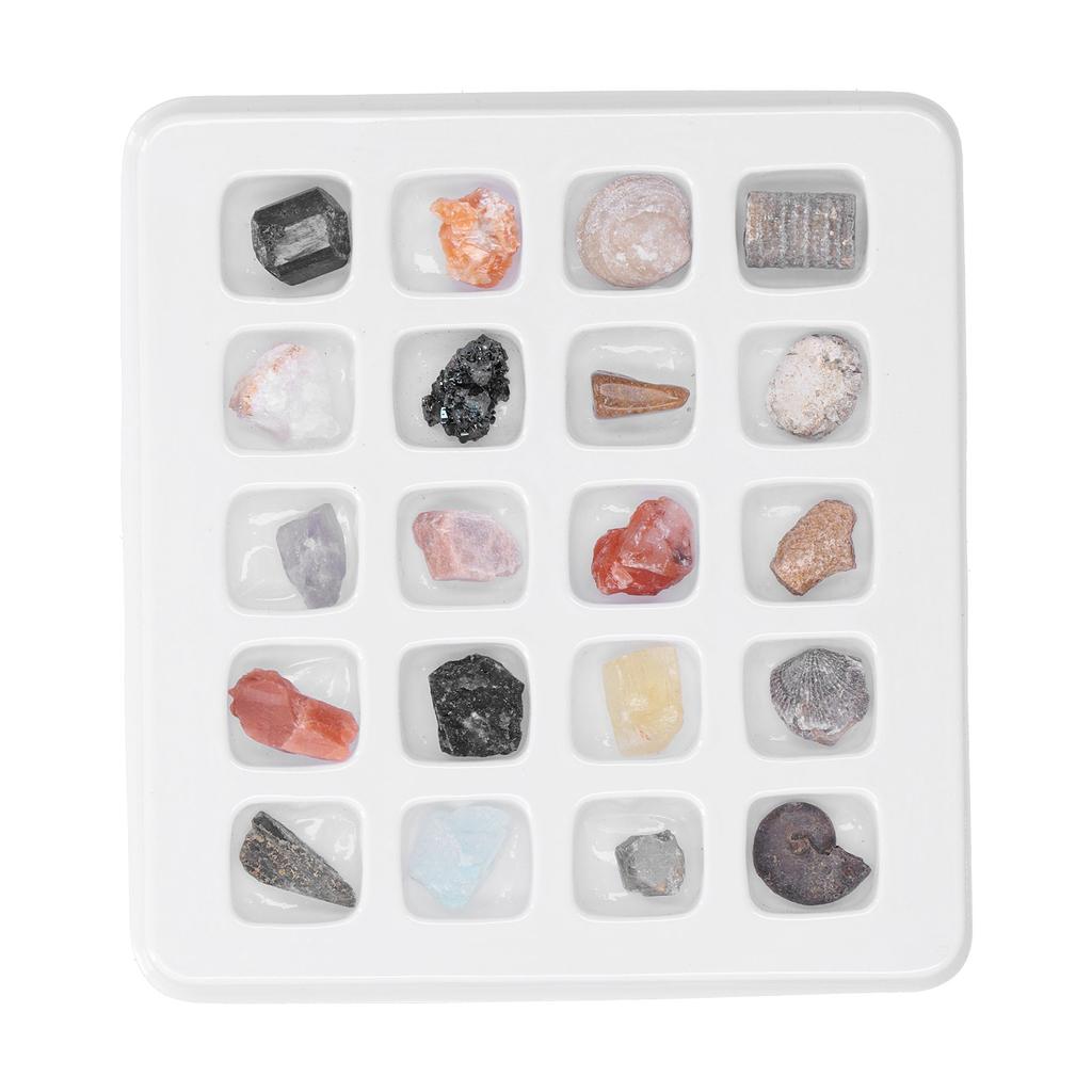 20 Kinds Crystal Gemstones Ornament Colorful Healing Chakra Gemstones for Kids Teacher Collector