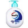 Walch Hand Wash Family Value Combo Pack