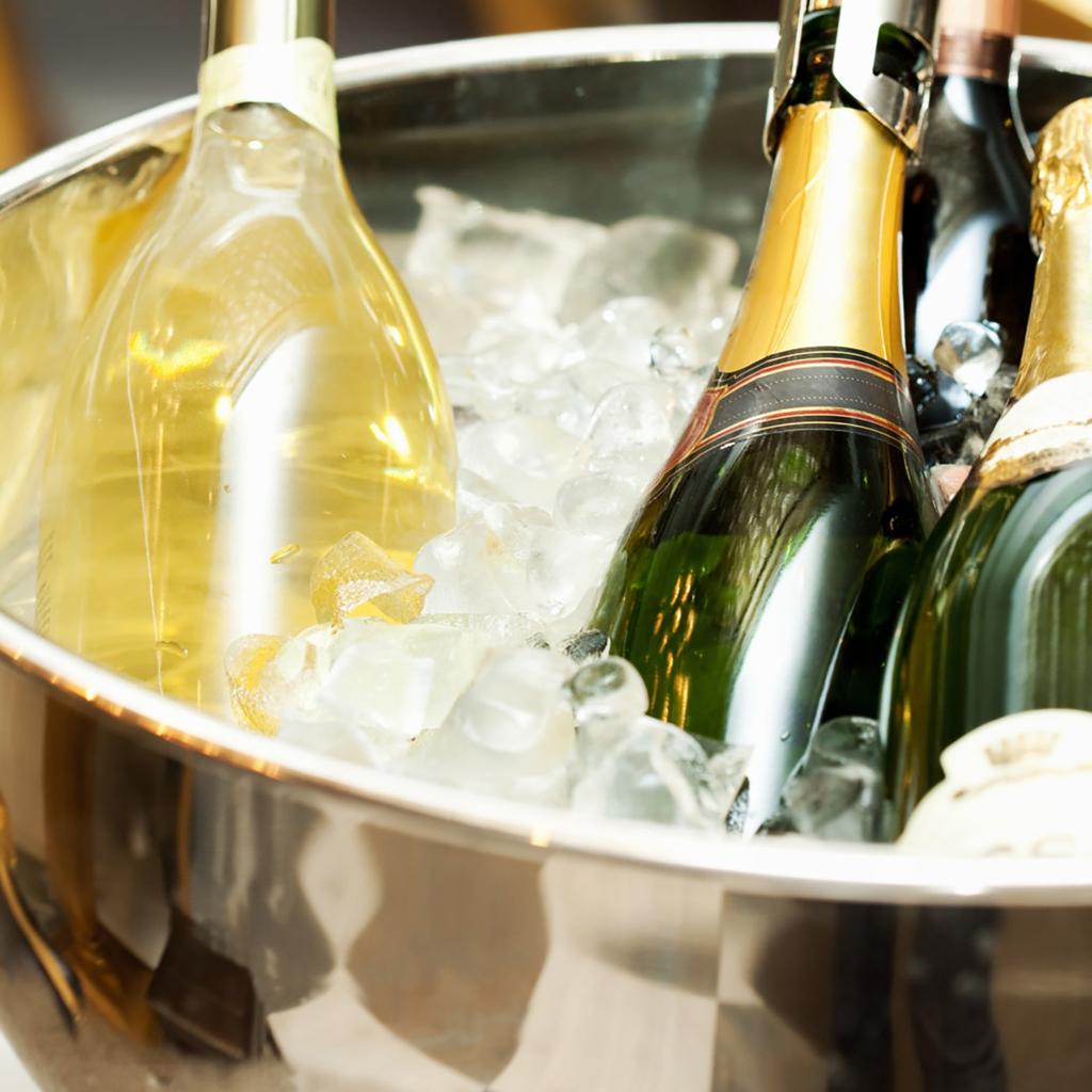 Ice Bucket with Scoop and Lid Metal Drink Coolers Wine Bucket Chiller Beverage Tub for Parities, Camping, Outdoor Bar