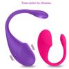 10 Vibrations APP Remote Control G-spot Panty Vibrator Wearable Rechargerable Adult Sex Toys for Women and Couple Sex Toys