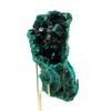 Stones and Minerals. Dioptase. 629.5 Ct. Pimbi Hill, Mindouli, Congo.